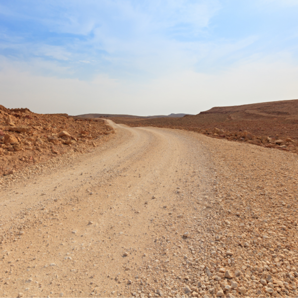 AfCFTA and Zambia’s Opportunity to Build, Trade, and Lead